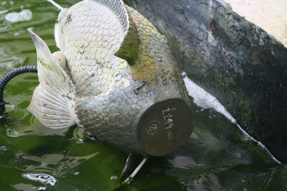 I know how much your fish cost!