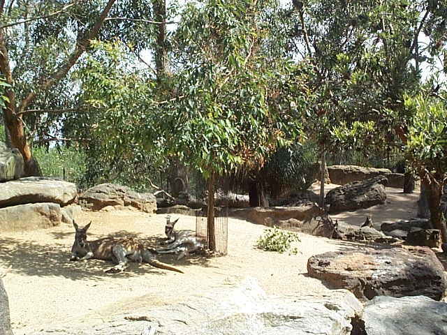 I know how you feel Dec 2001!