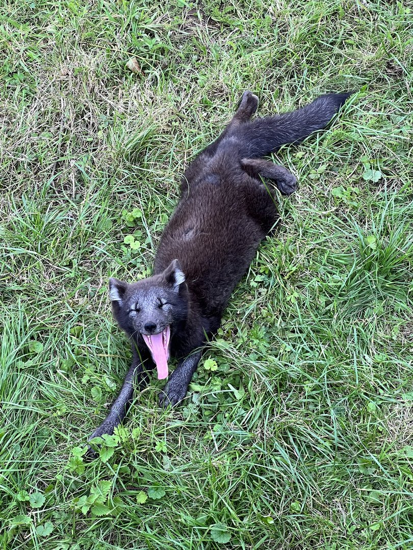 I know the feeling mate!