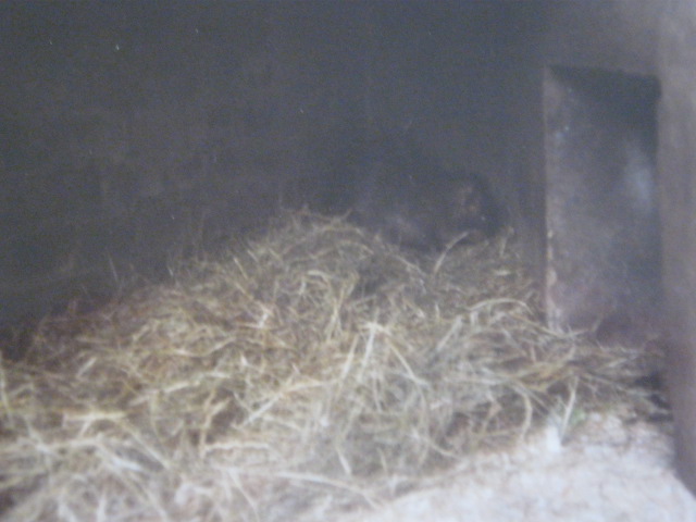 ? I know what it is, but can you tell what is is ?????