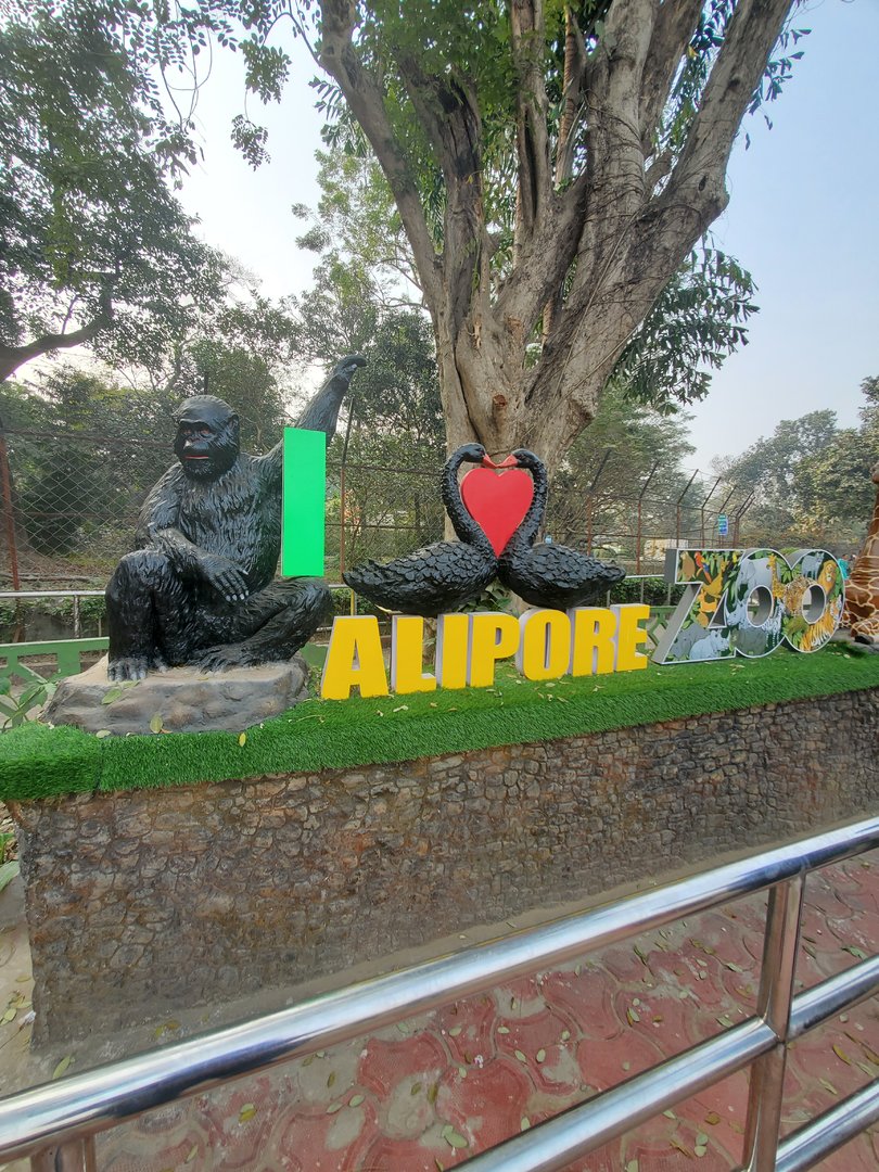 I Love Alipore Zoo Sign - January 2023