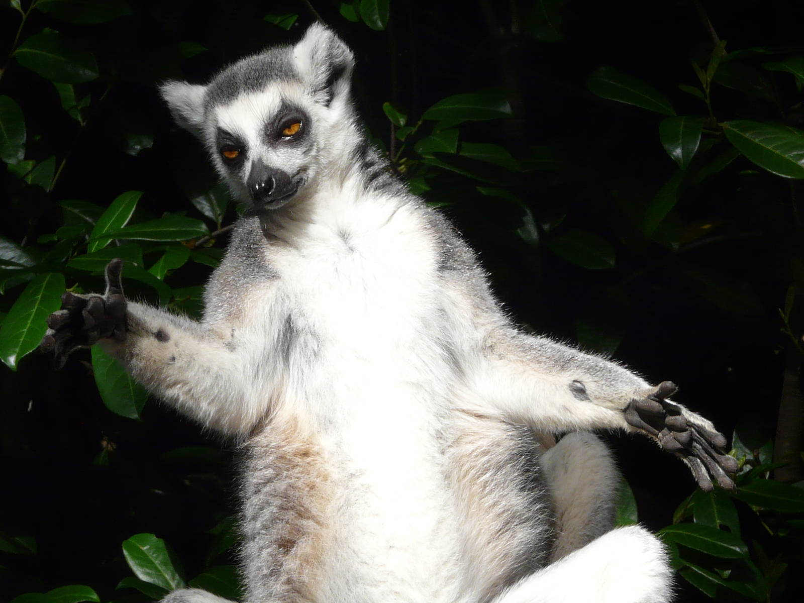 I Love You This Much