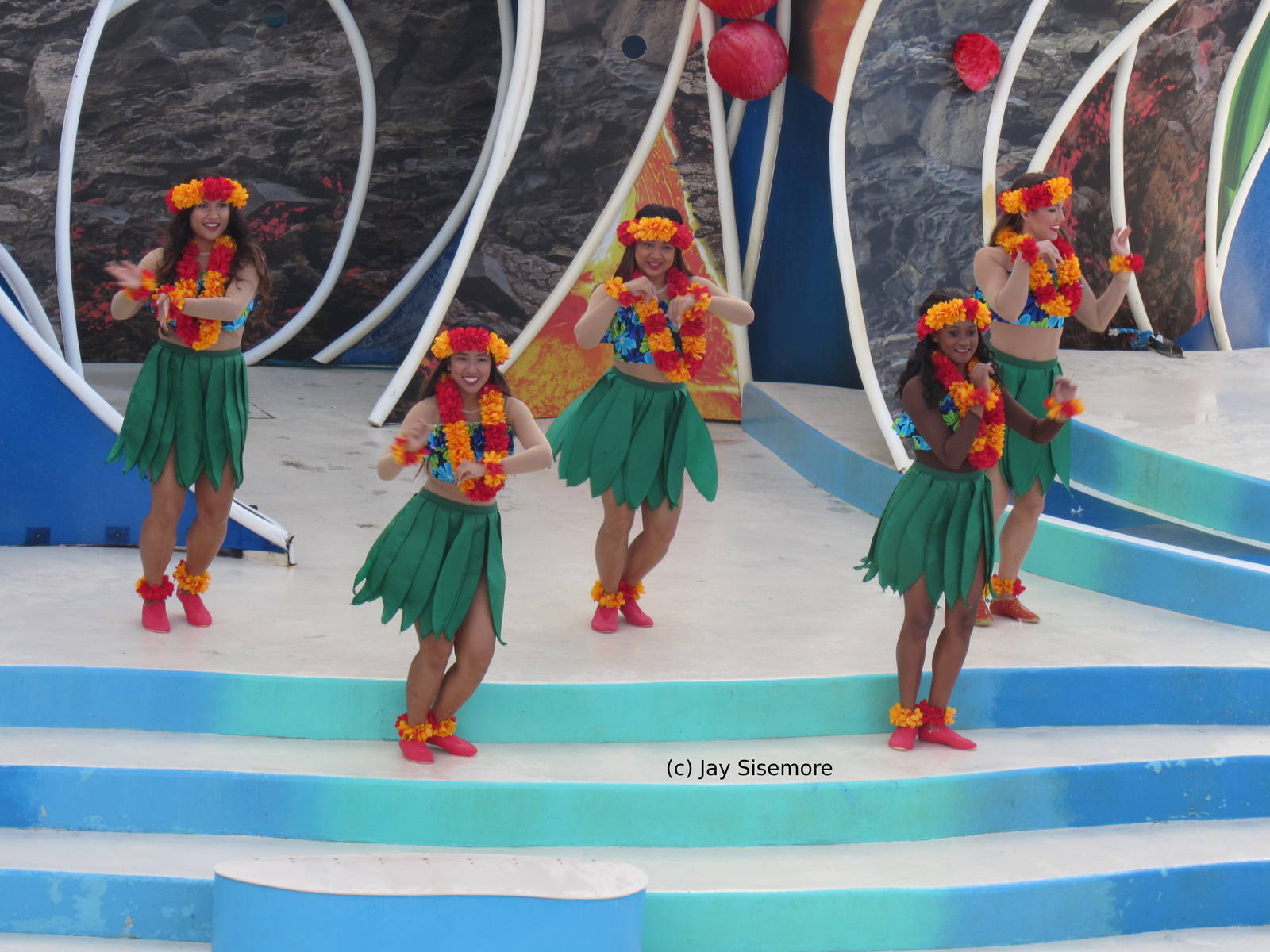 I signed up for a dolphin show...