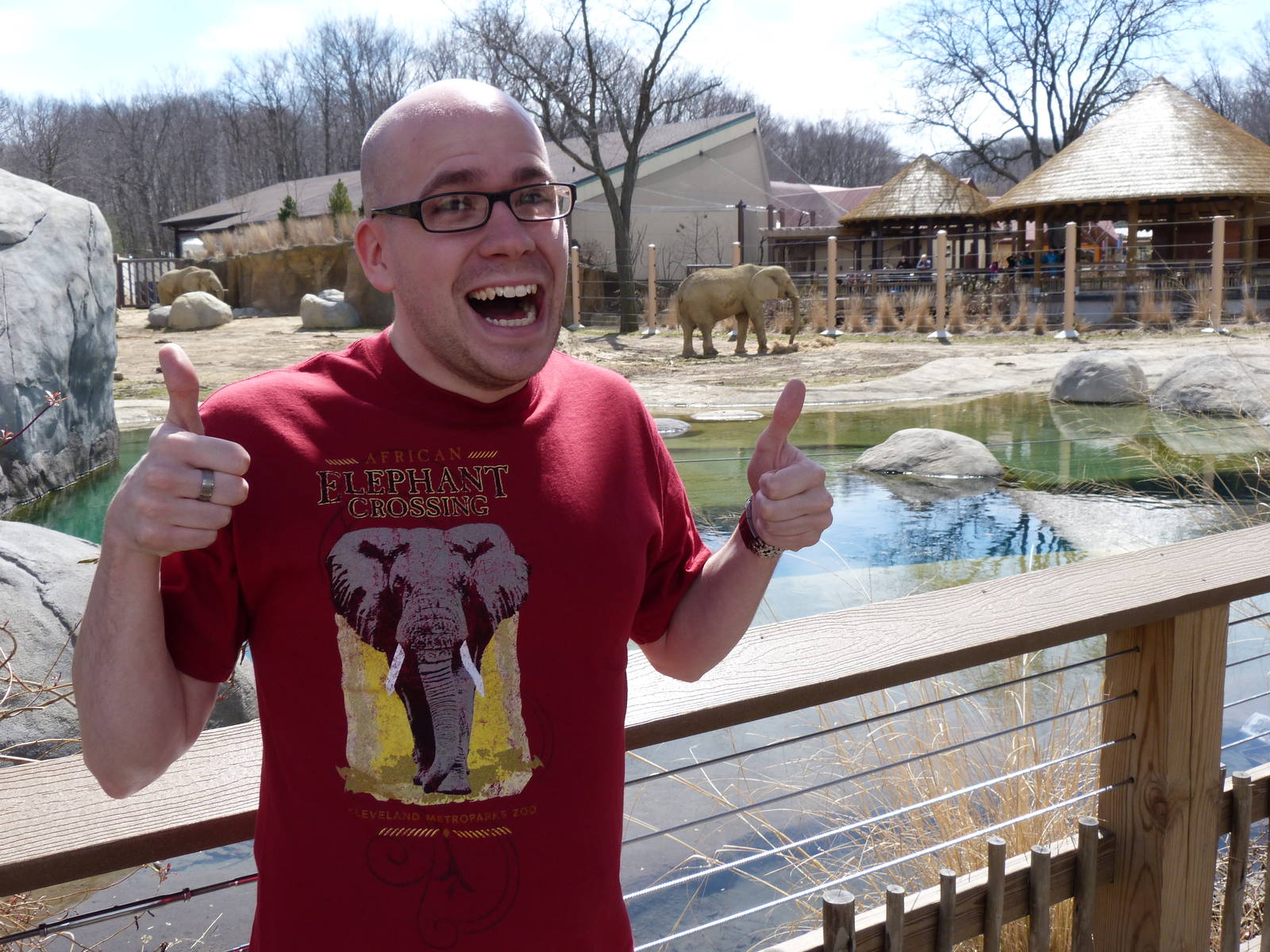 I support Elephant Crossing!