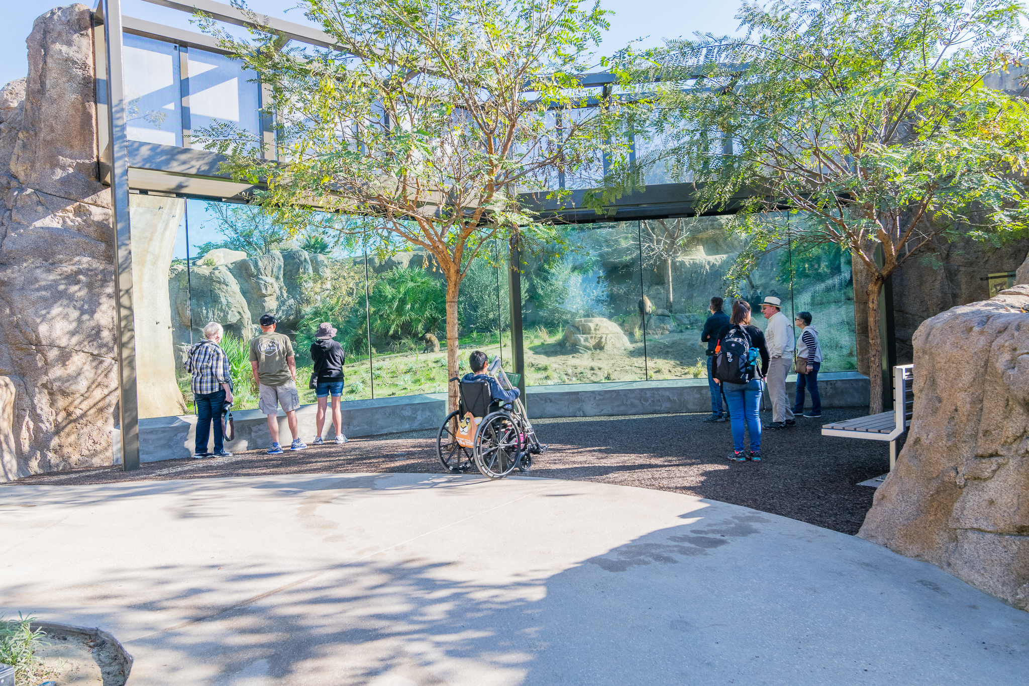 I think this is the last viewing area for baboons.