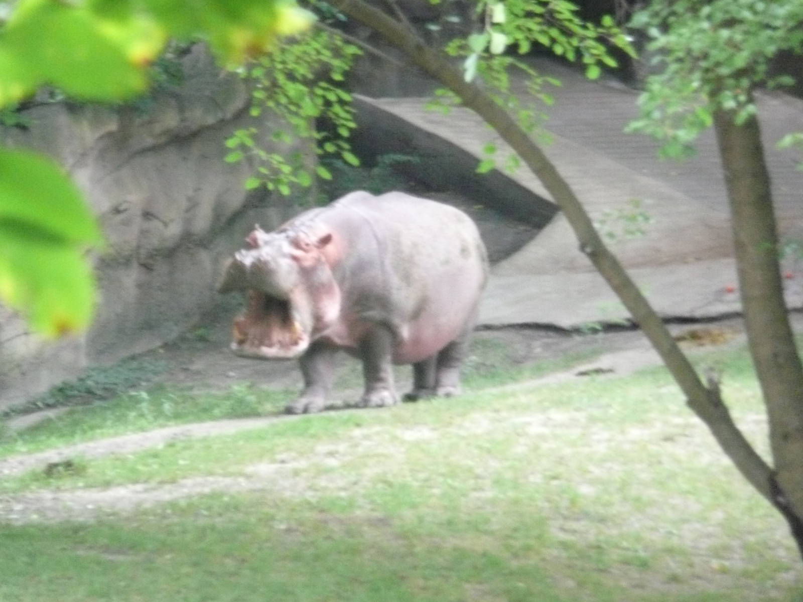 I Want some marbles!!!!