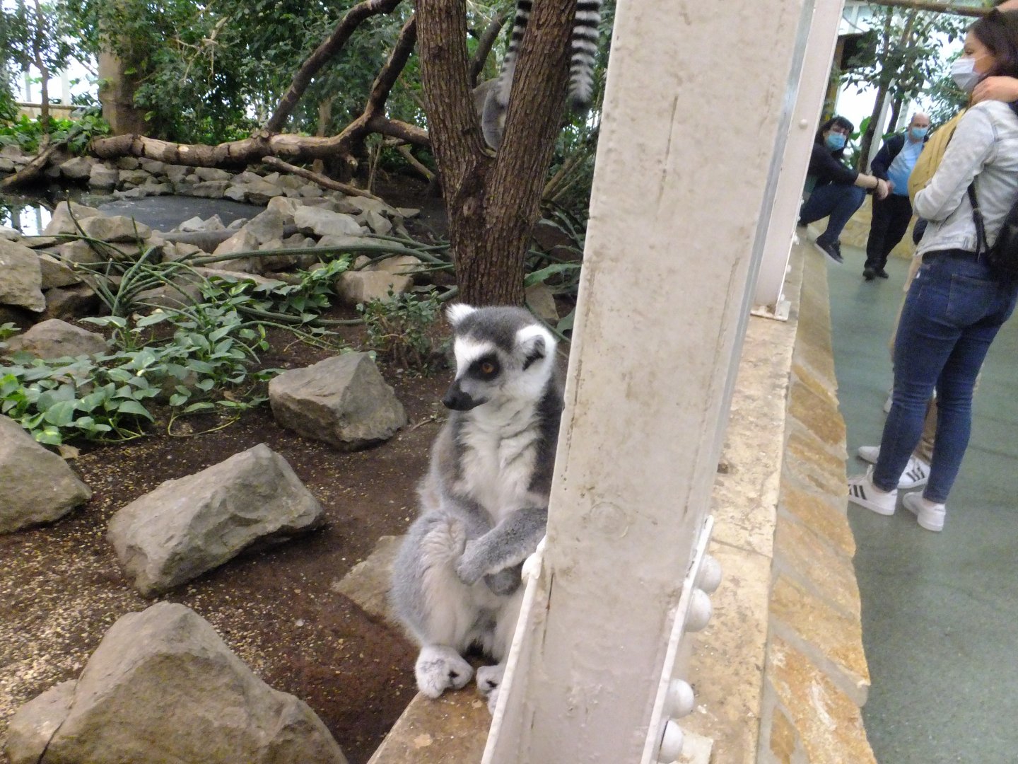 I want to hide from these scarry humanoids!