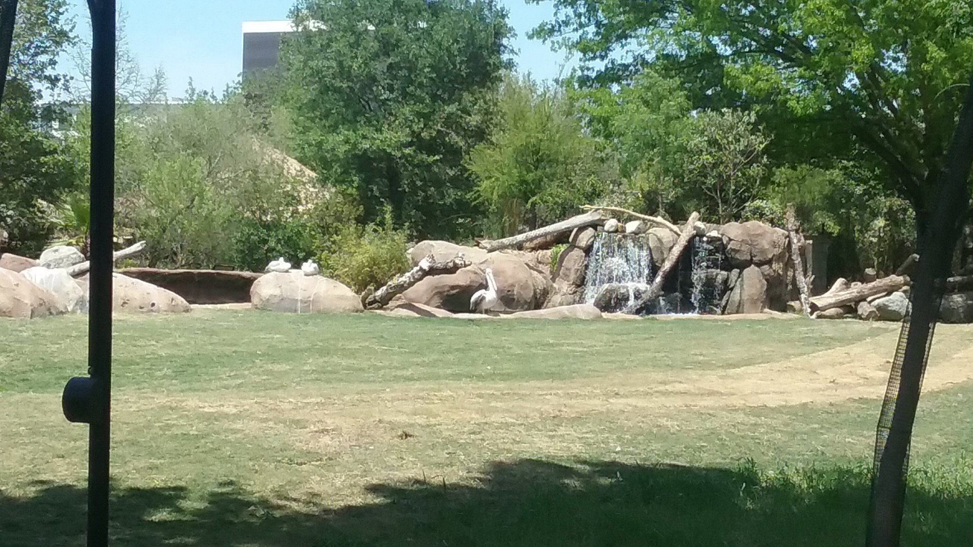 I was just over there