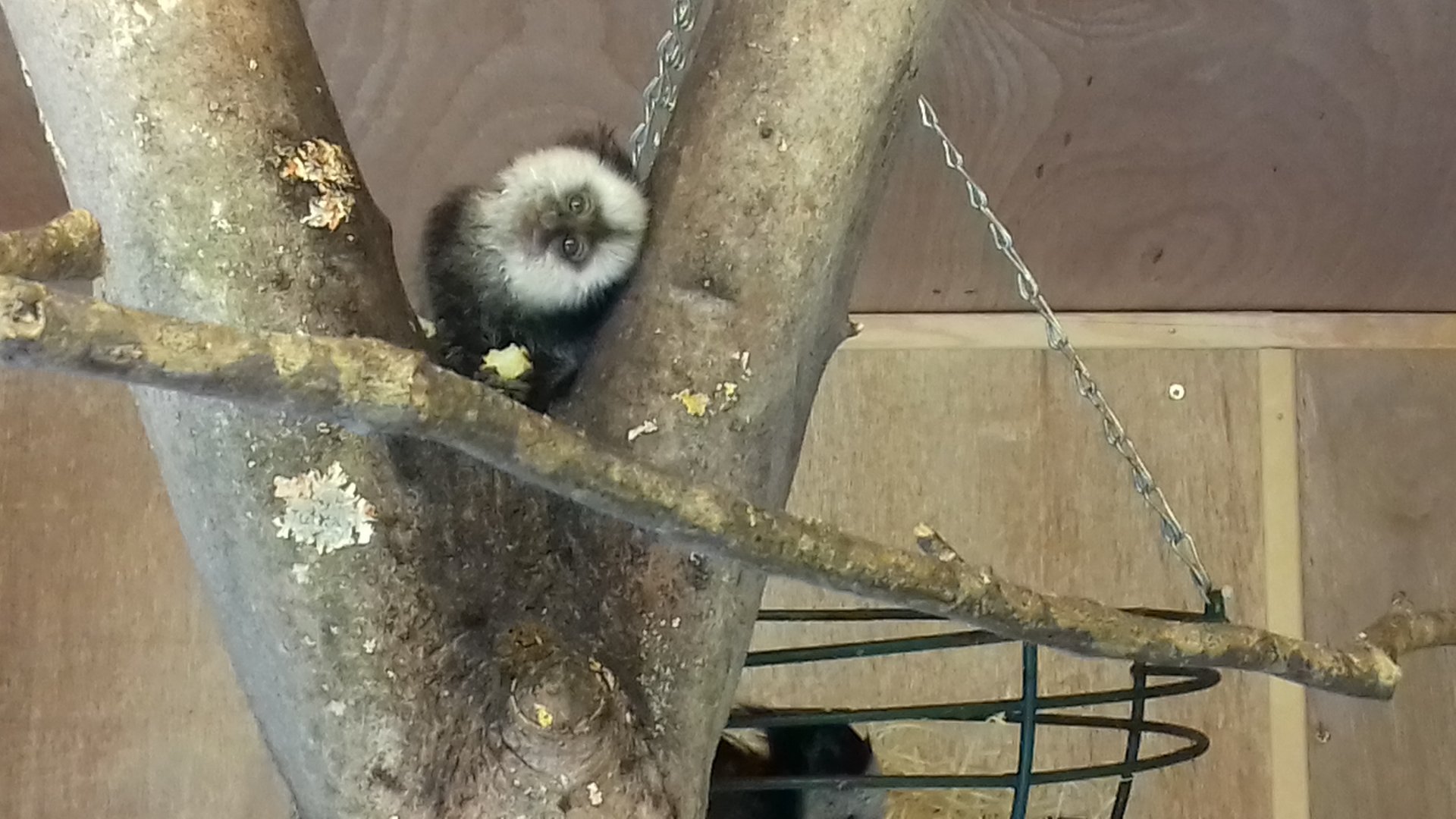 "I wonder if it looks better this way"