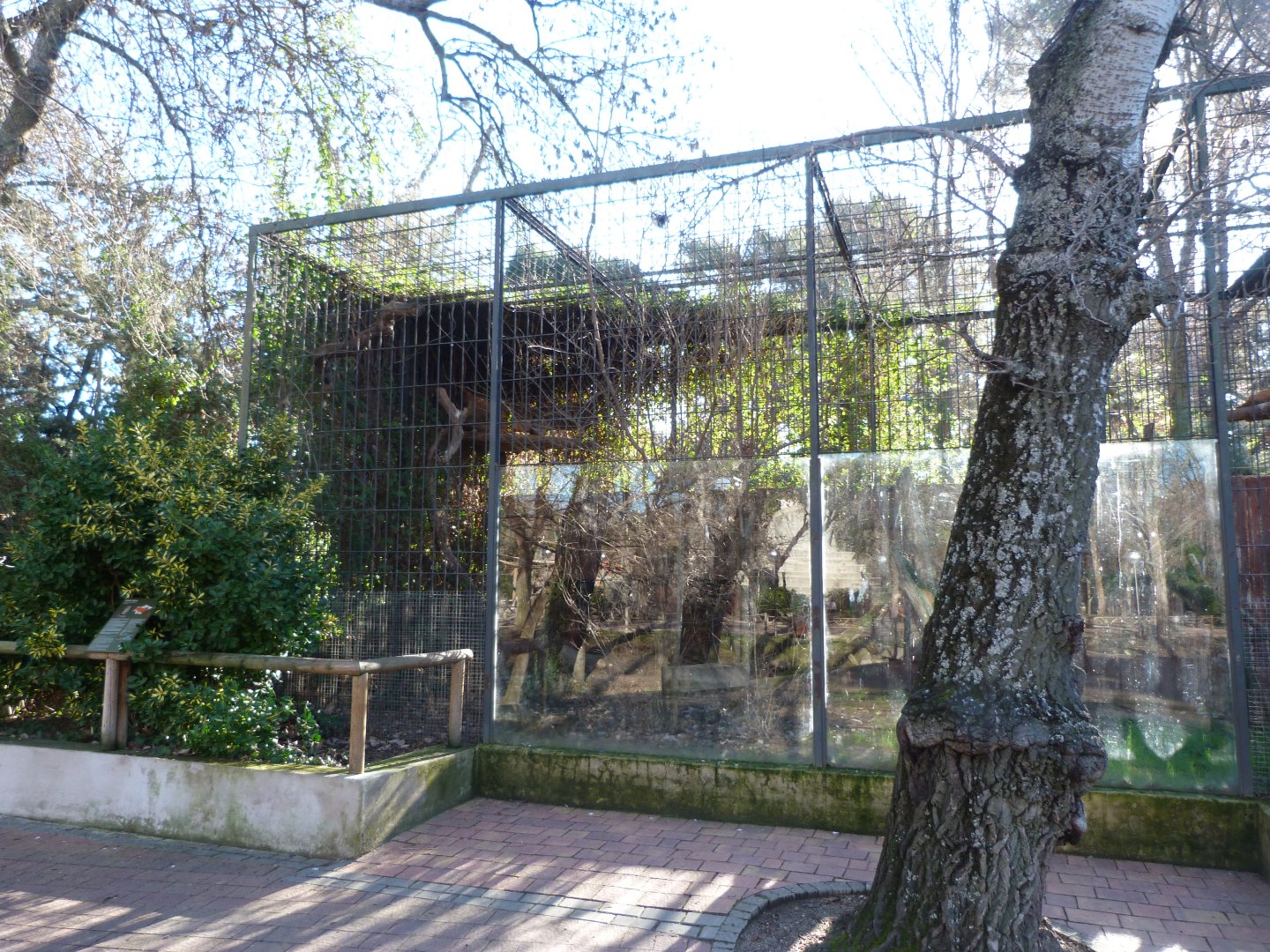 Iberian eagle-owl exhibit -Zoo Aquarium de Madrid (2025)