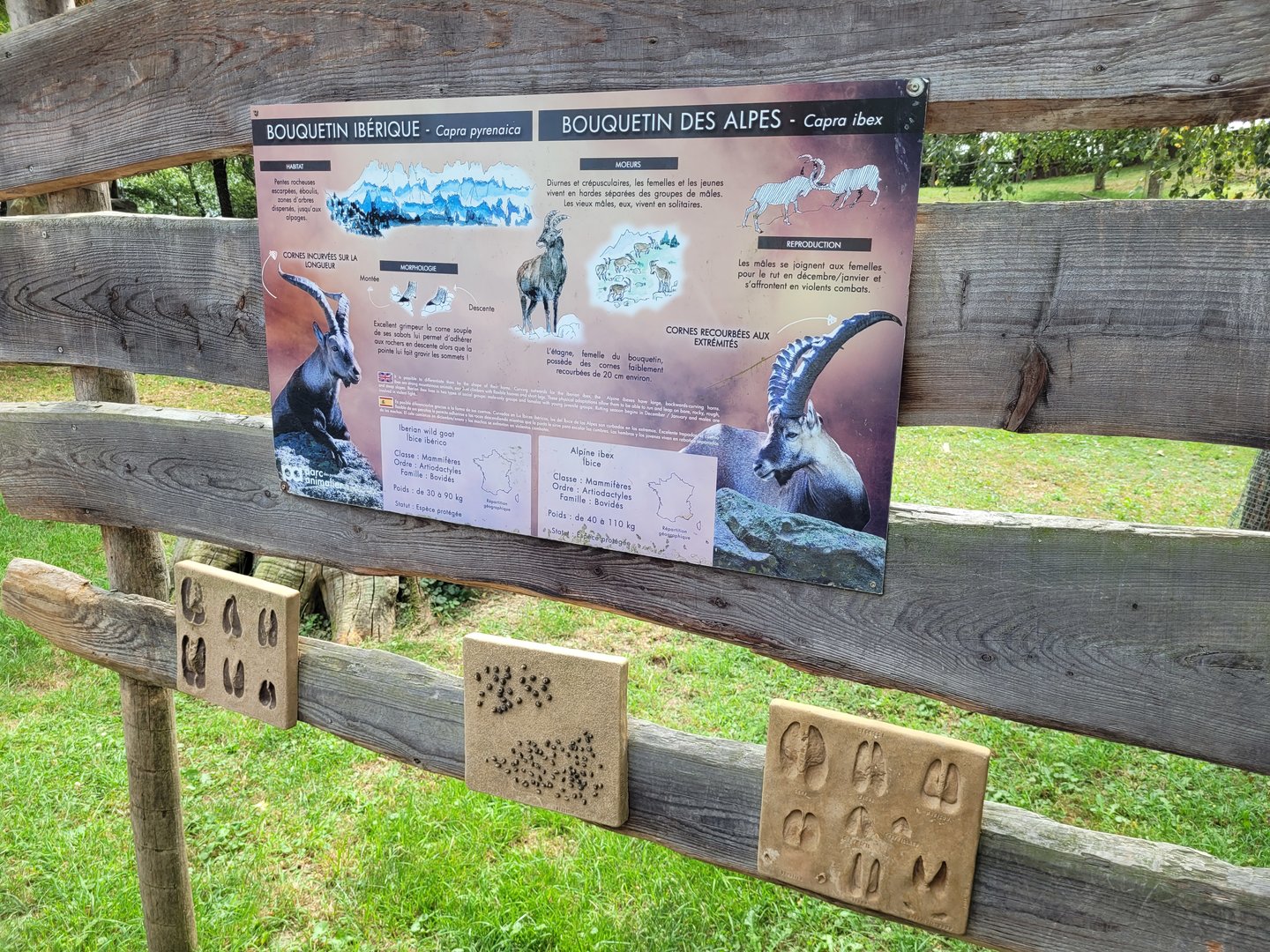 Iberian ibex and Alpine ibex signae and educative displays -Parc Animalier des Pyrénées (2023)