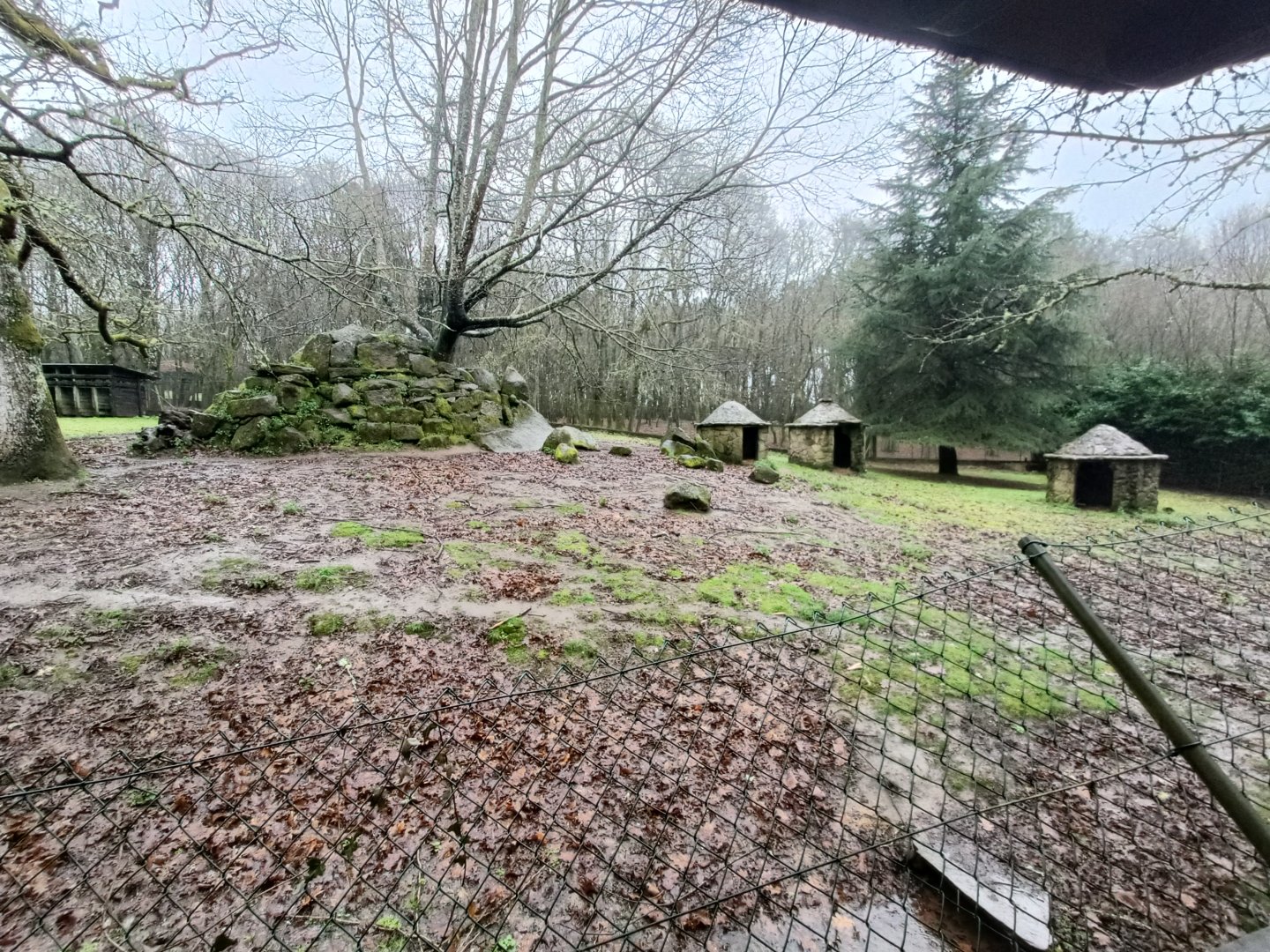 Iberian ibex exhibit -Marcelle Naturaleza