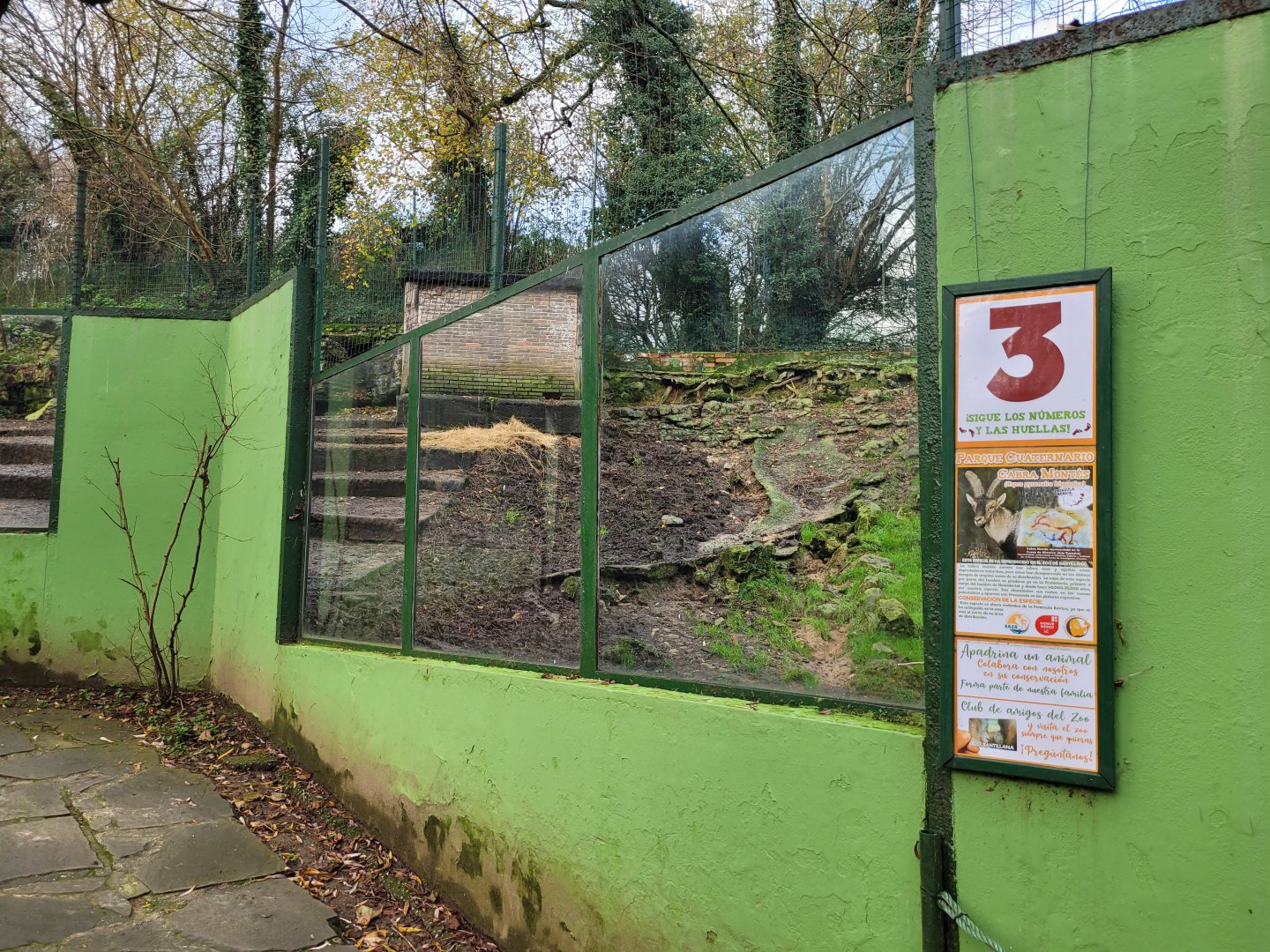 Iberian ibex exhibit -Zoo de Santillana del Mar (2023)