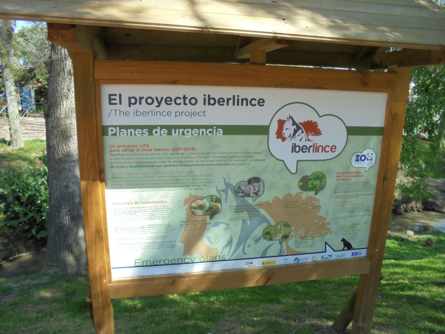 Iberian Lynx At Madrid - Signage