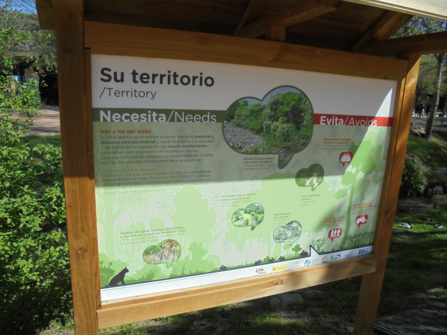 Iberian Lynx At Madrid - Signage