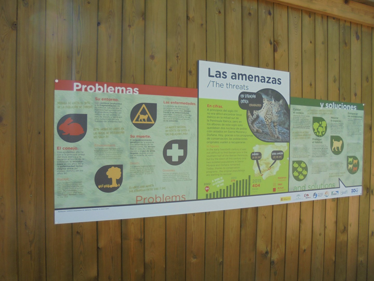 Iberian Lynx At Madrid - Signage