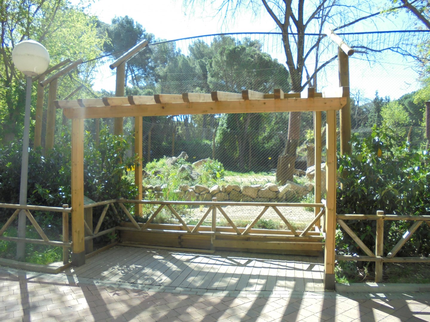 Iberian Lynx At Madrid - View Of Enclosure