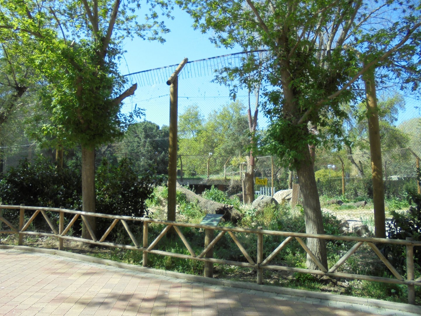 Iberian Lynx At Madrid - View Of Enclosure