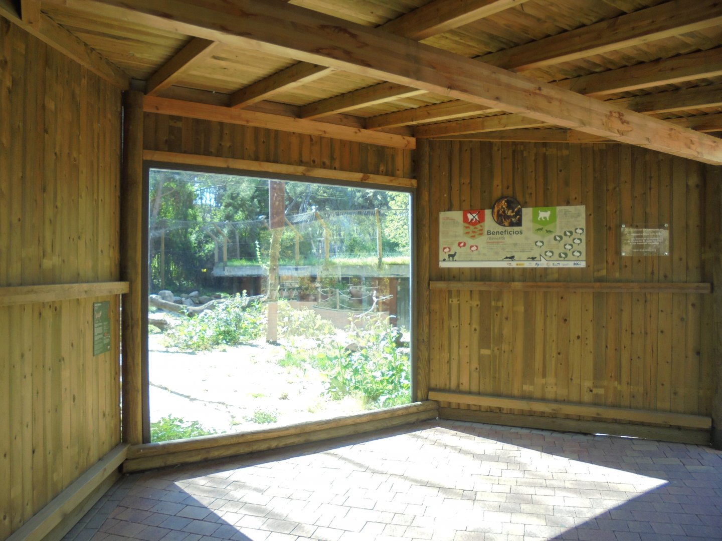 Iberian Lynx At Madrid - Viewing Shelter With Information Film And Signs