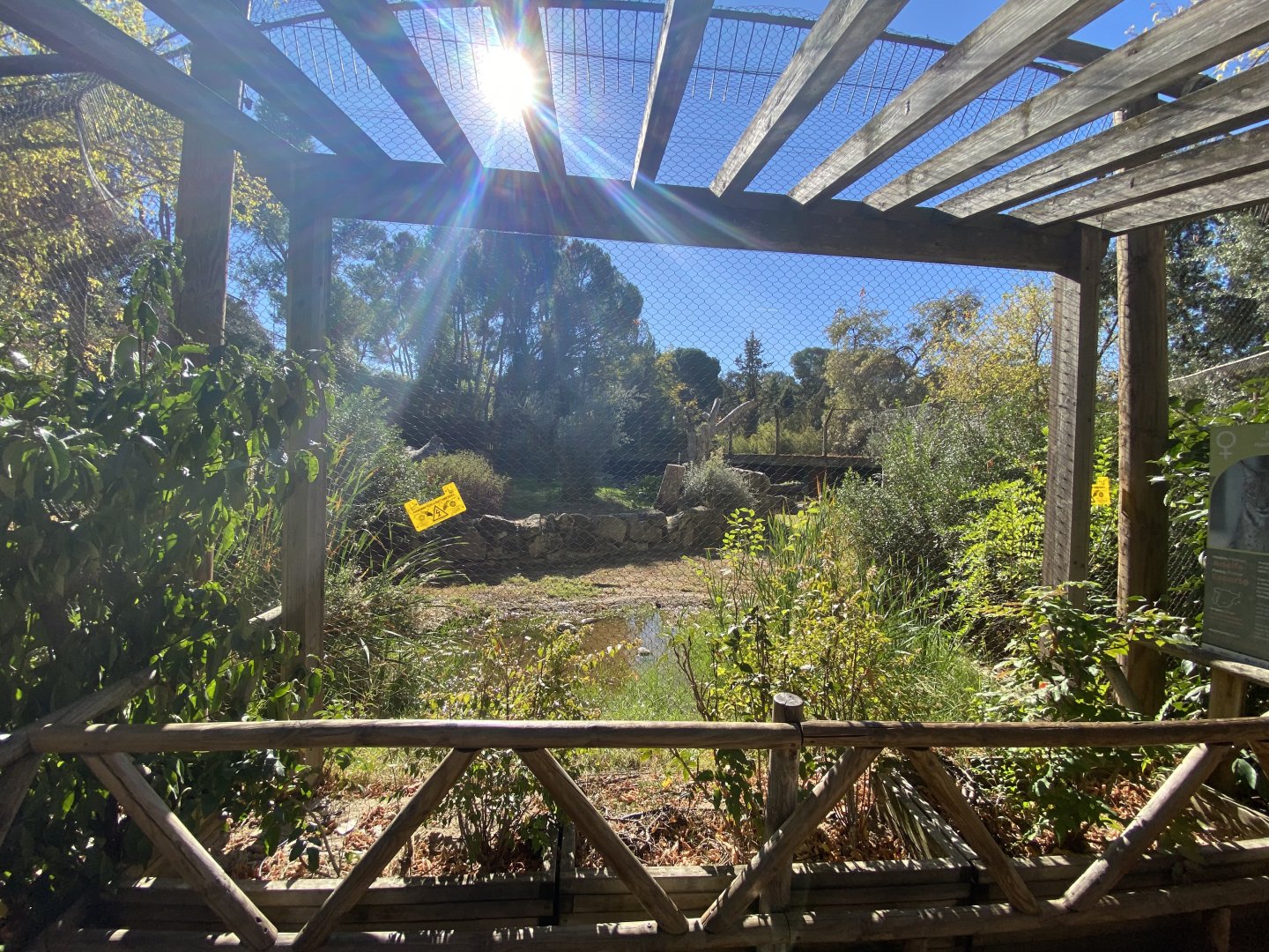 Iberian lynx enclosure view 1