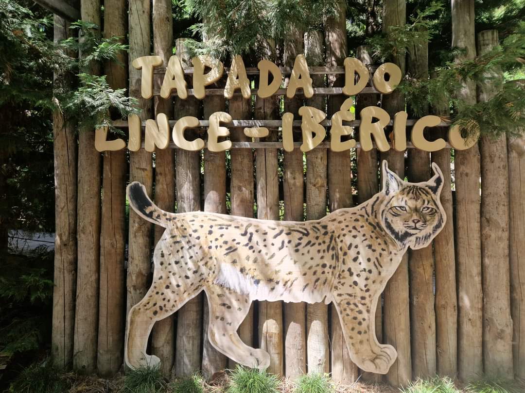 Iberian Lynx exhibit sign