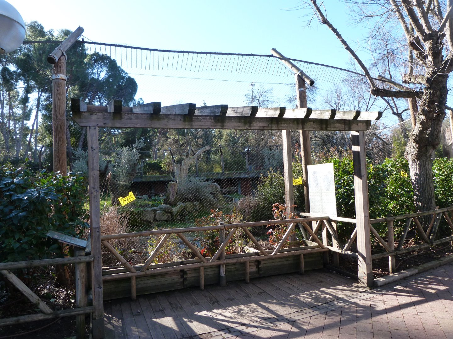 Iberian lynx exhibit -Zoo Aquarium de Madrid (2025)