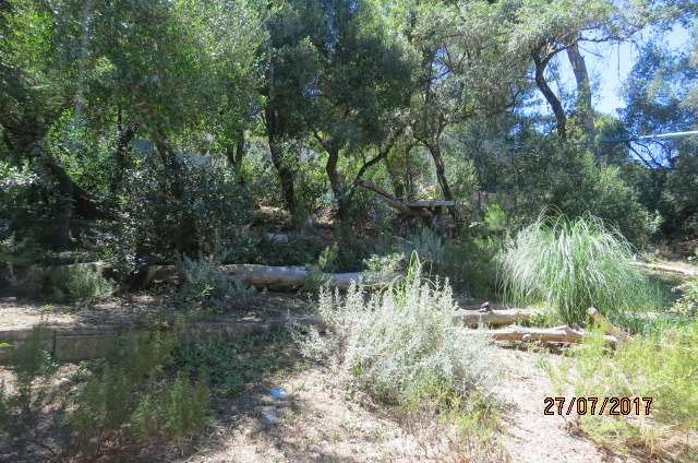 Iberian Lynx Exhibit