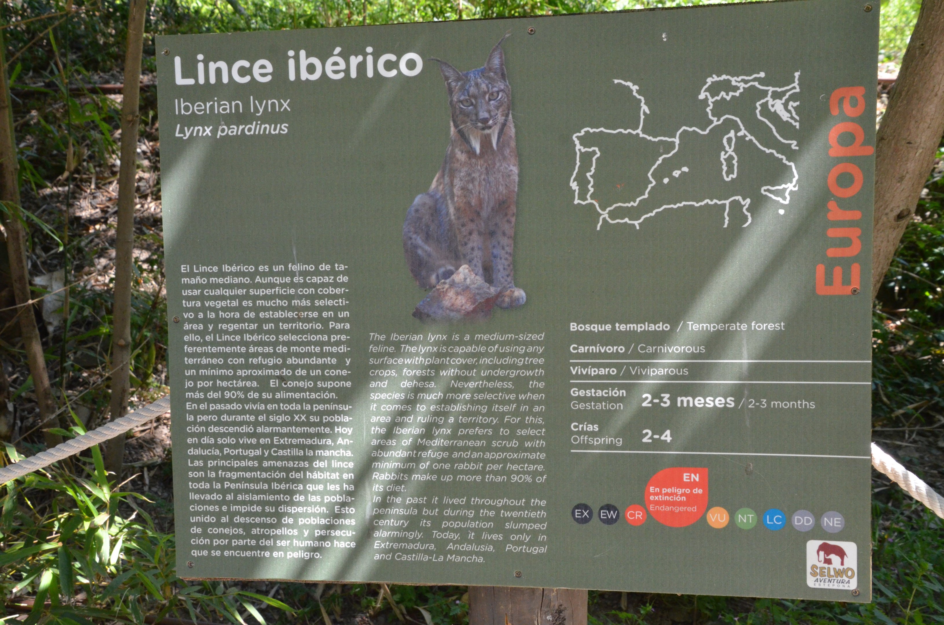 Iberian Lynx Signage at Selwo Aventura, 13/03/19