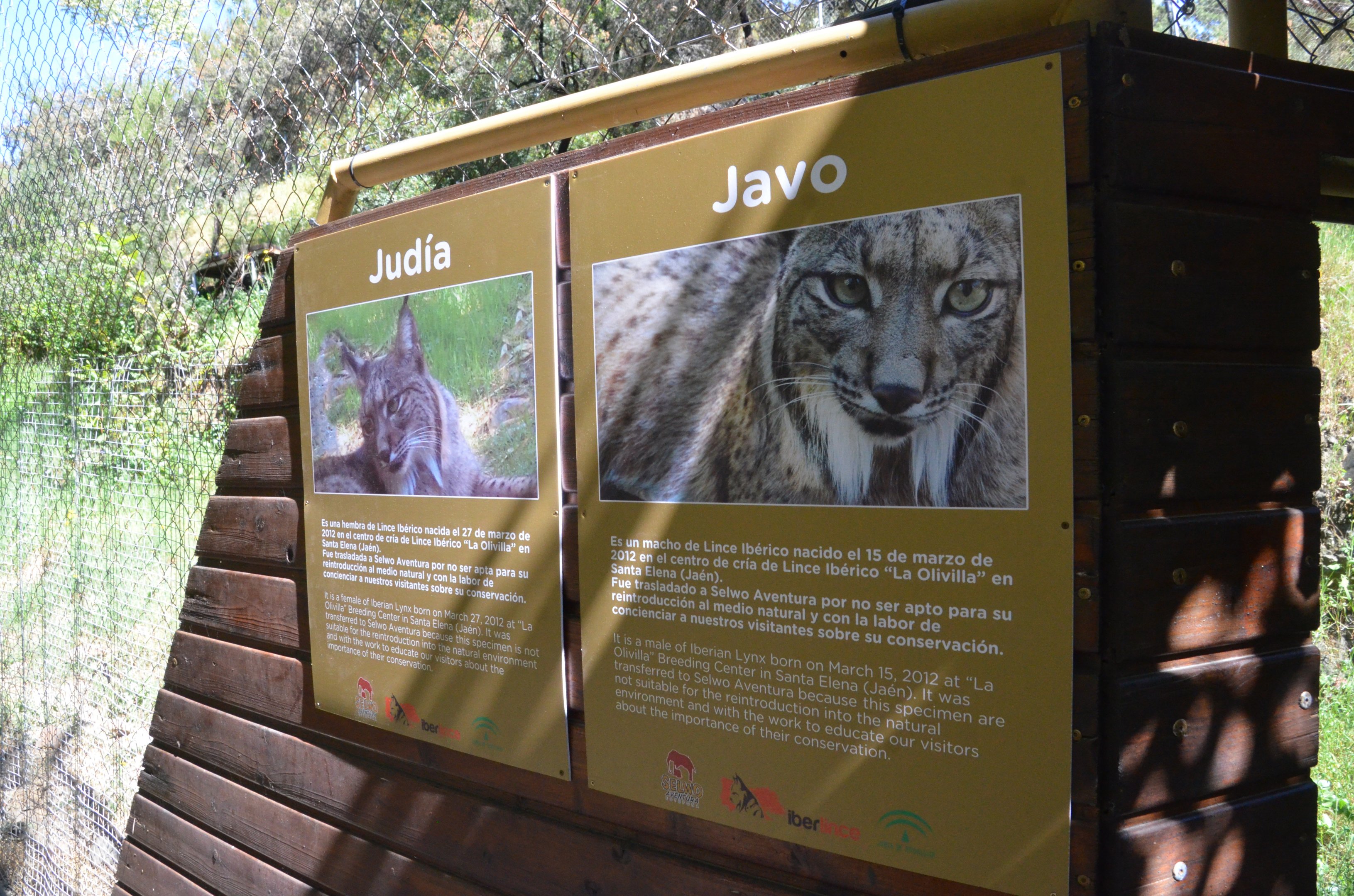 Iberian Lynx Signage at Selwo Aventura, 13/03/19