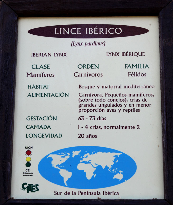 iberian lynx signage