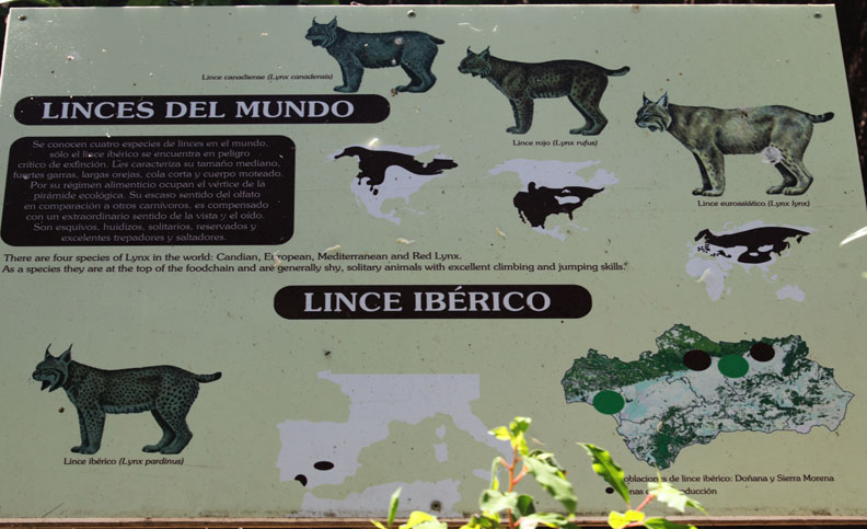 iberian lynx signage