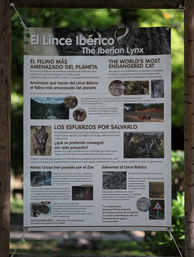 iberian lynx signage