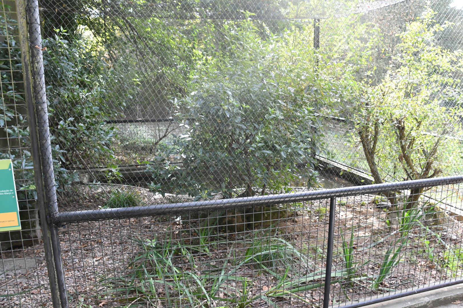 Iberian Pond Turtles exhibit
