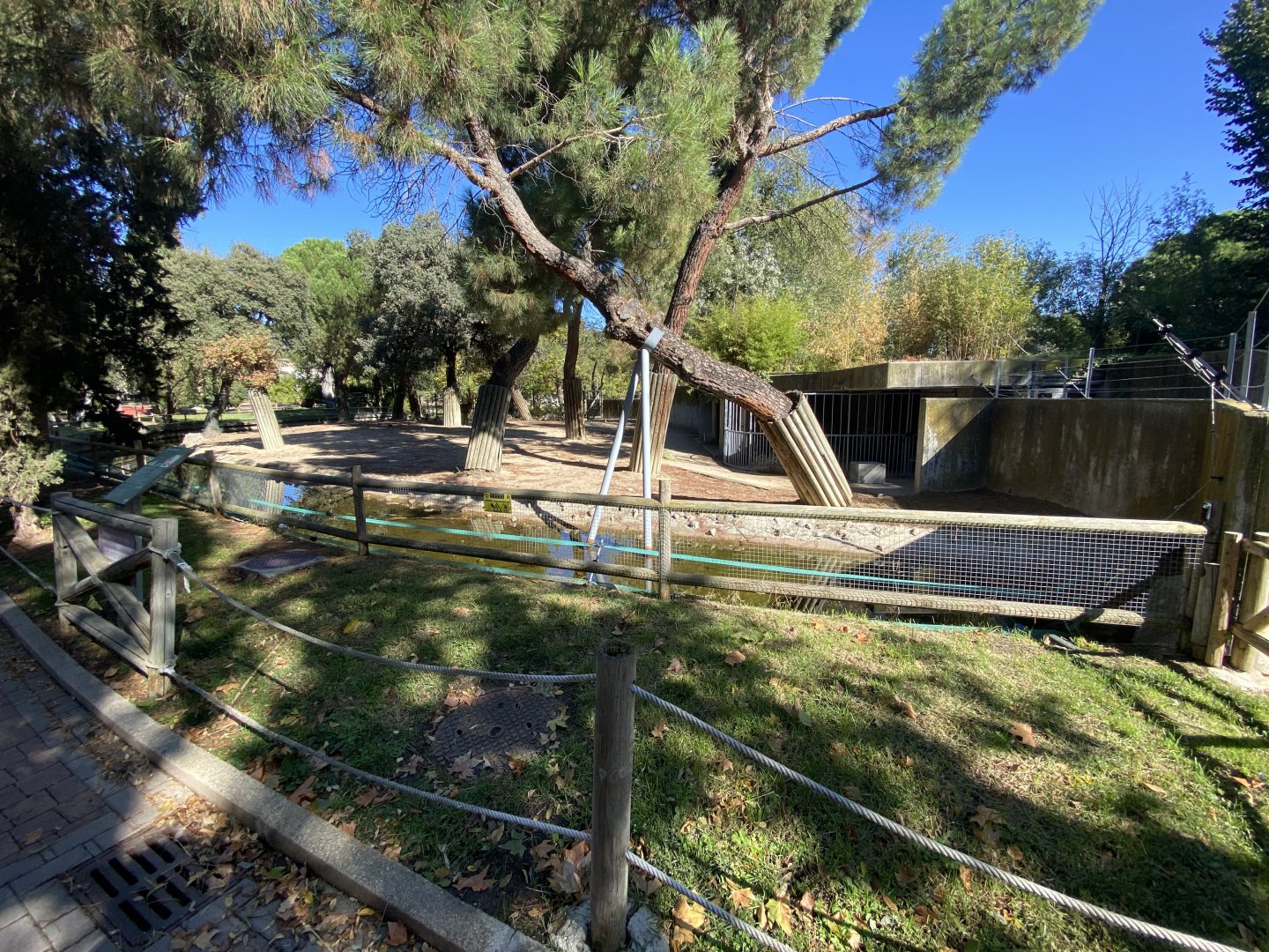 Iberian red deer enclosure