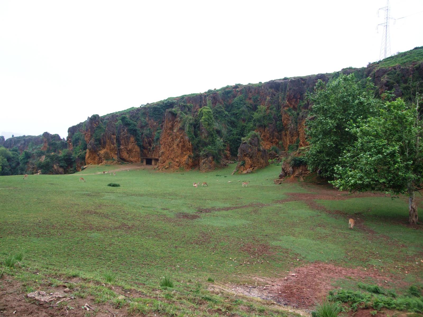 Iberian Wildlife Enclosure at Cabarceno, 11/06/15
