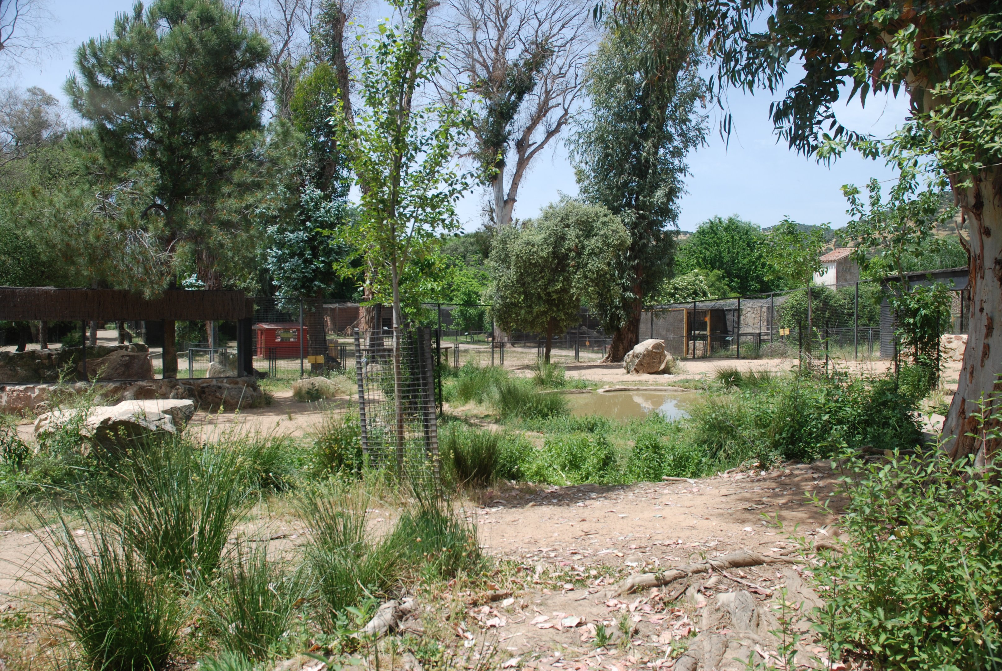 Iberian Wolf Enclosure at Safari Madrid, 19th May 2022