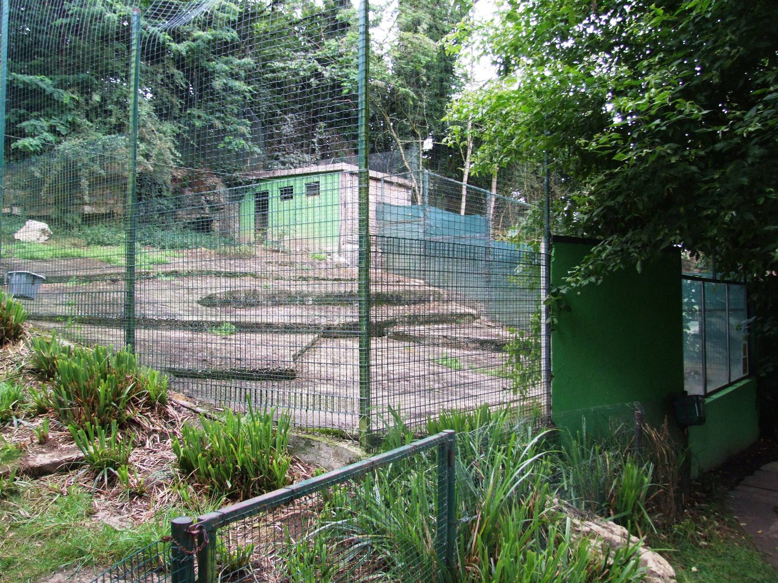Iberian Wolf Enclosure at Santillana del Mar, 13/06/15
