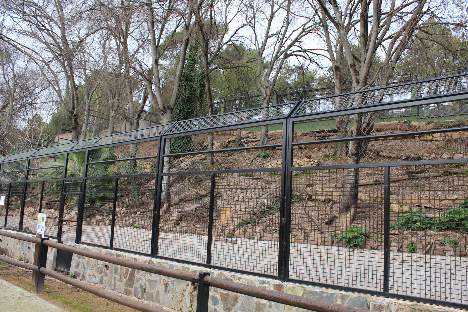 Iberian Wolf Enclosure - Jan 2014