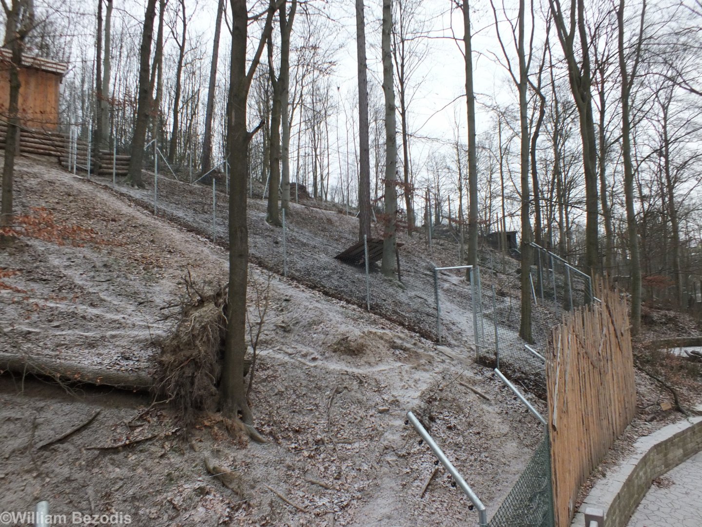 Iberian Wolf Enclosure
