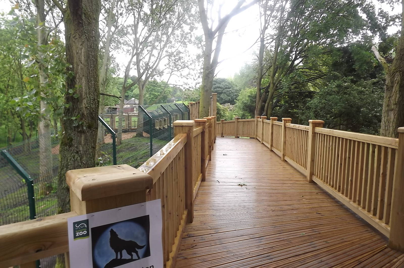 Iberian Wolf exhibit at Blackpool Zoo 16/06/12