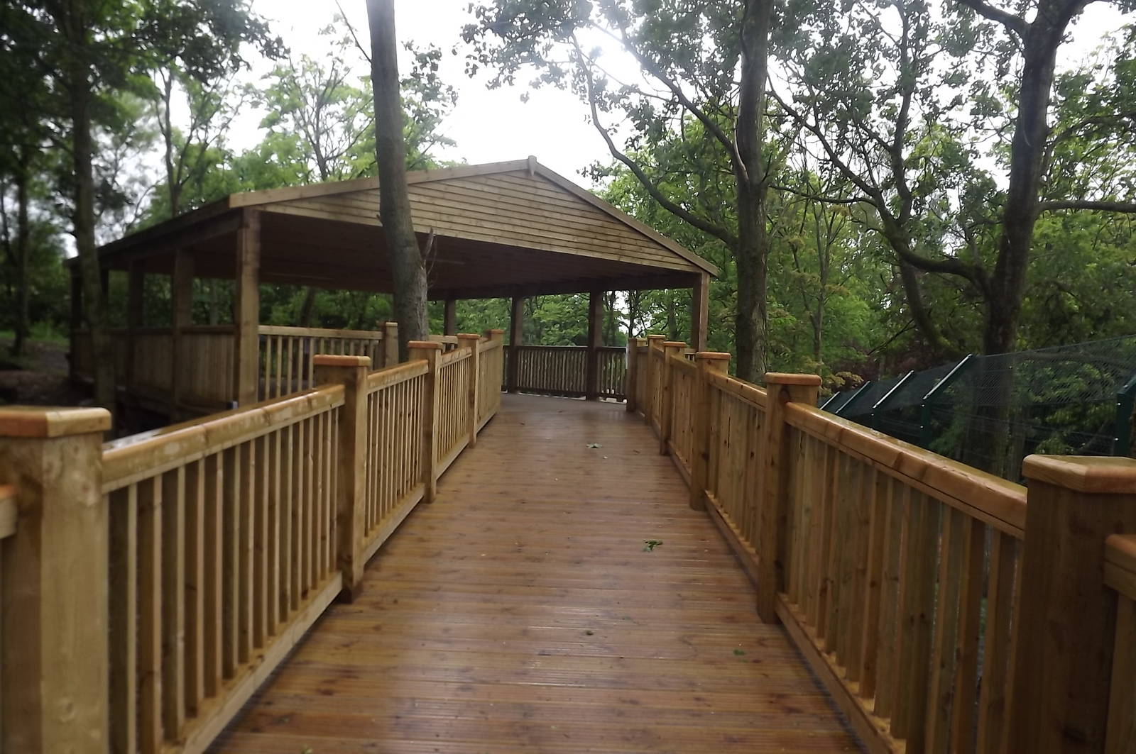 Iberian Wolf exhibit at Blackpool Zoo 16/06/12