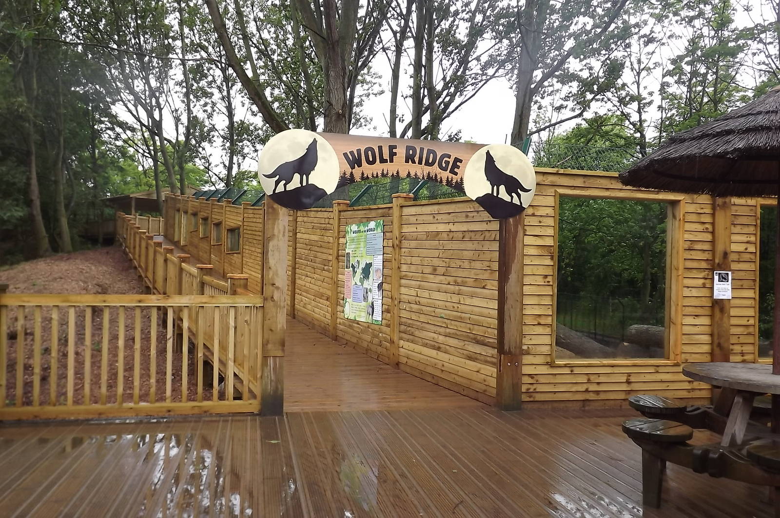 Iberian Wolf exhibit at Blackpool Zoo 16/06/12