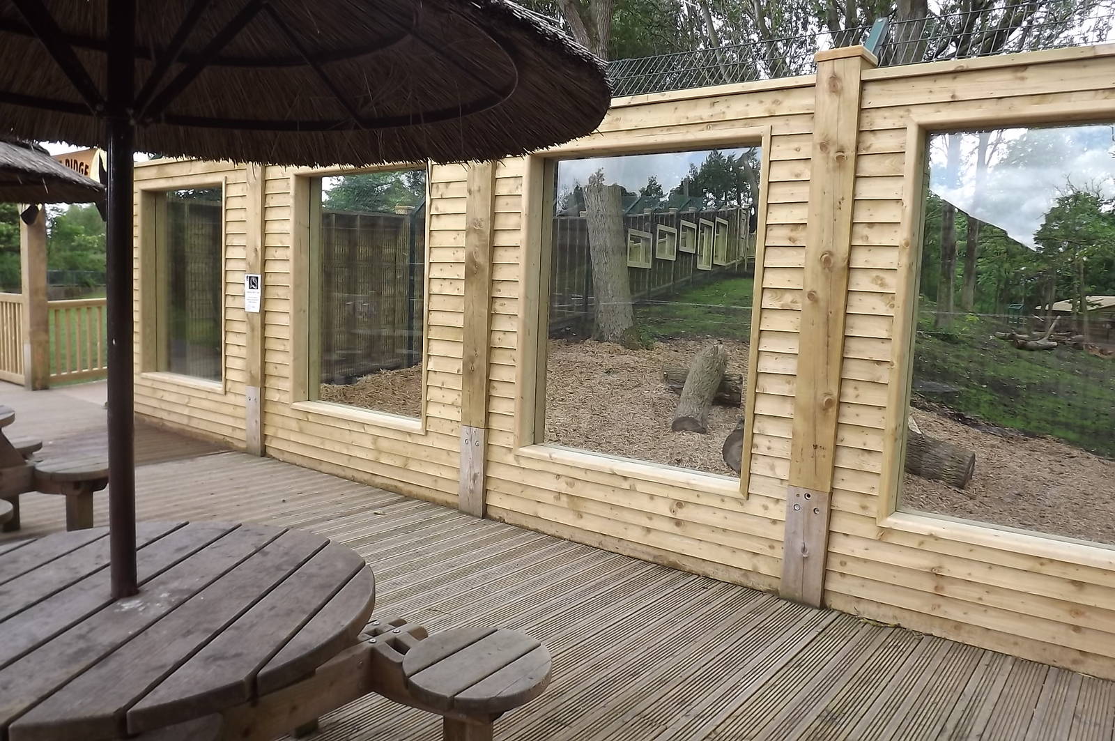 Iberian Wolf exhibit at Blackpool Zoo 17/06/12