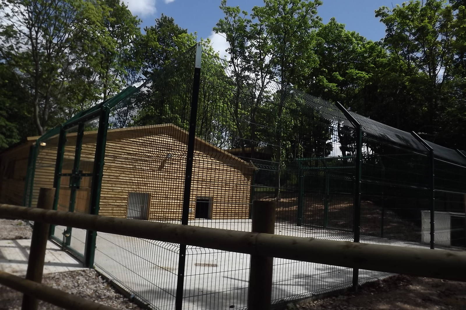 Iberian Wolf exhibit at Blackpool Zoo 17/06/12