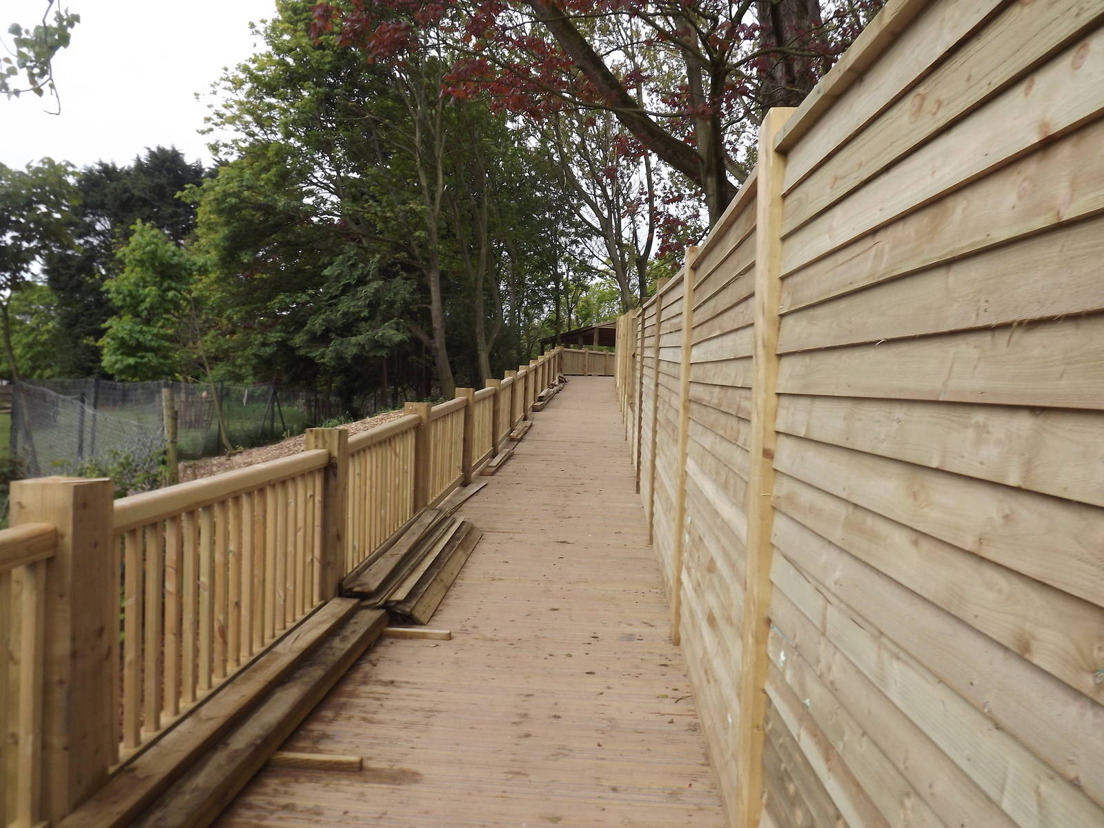 Iberian Wolf exhibit at Blackpool Zoo 19/05/12