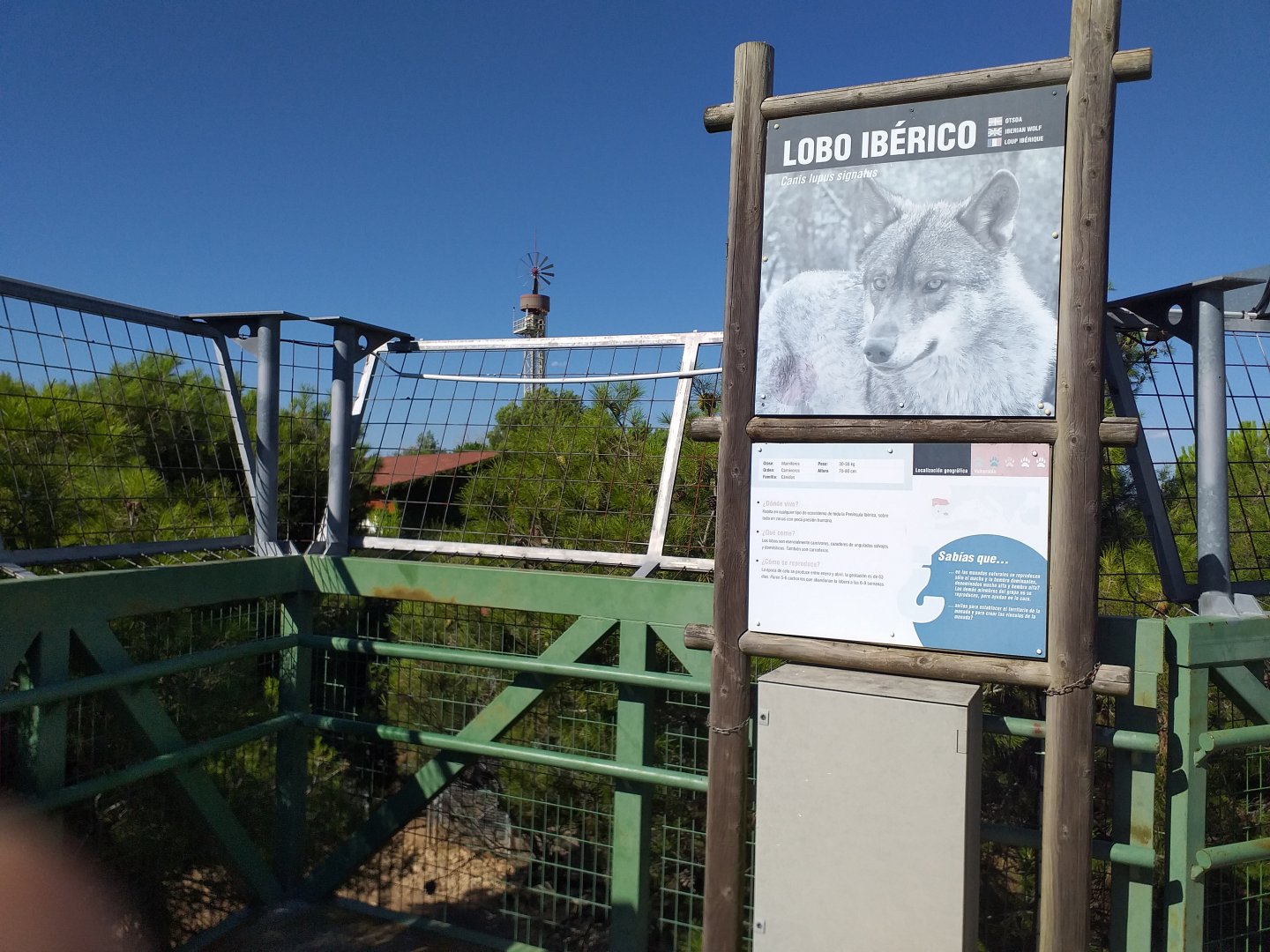 Iberian wolf sign -Sendaviva (2020)