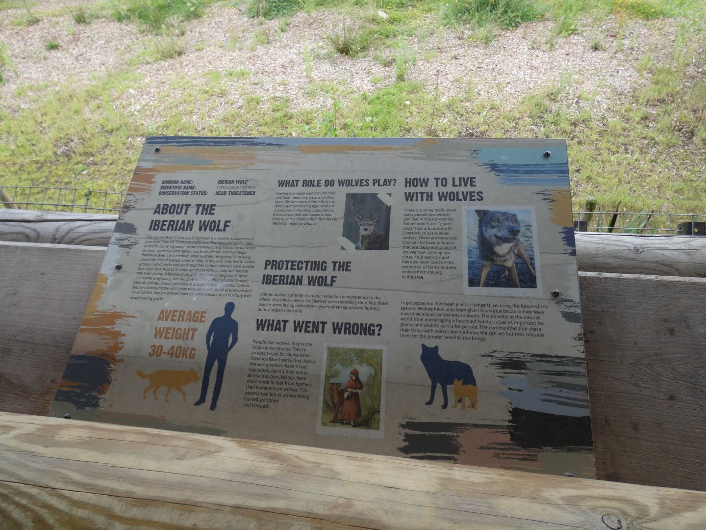 Iberian Wolf signange