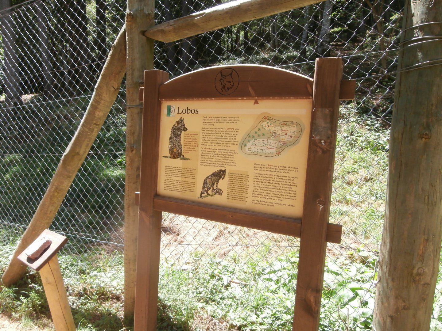 Iberian wolf sing- Lacuniacha