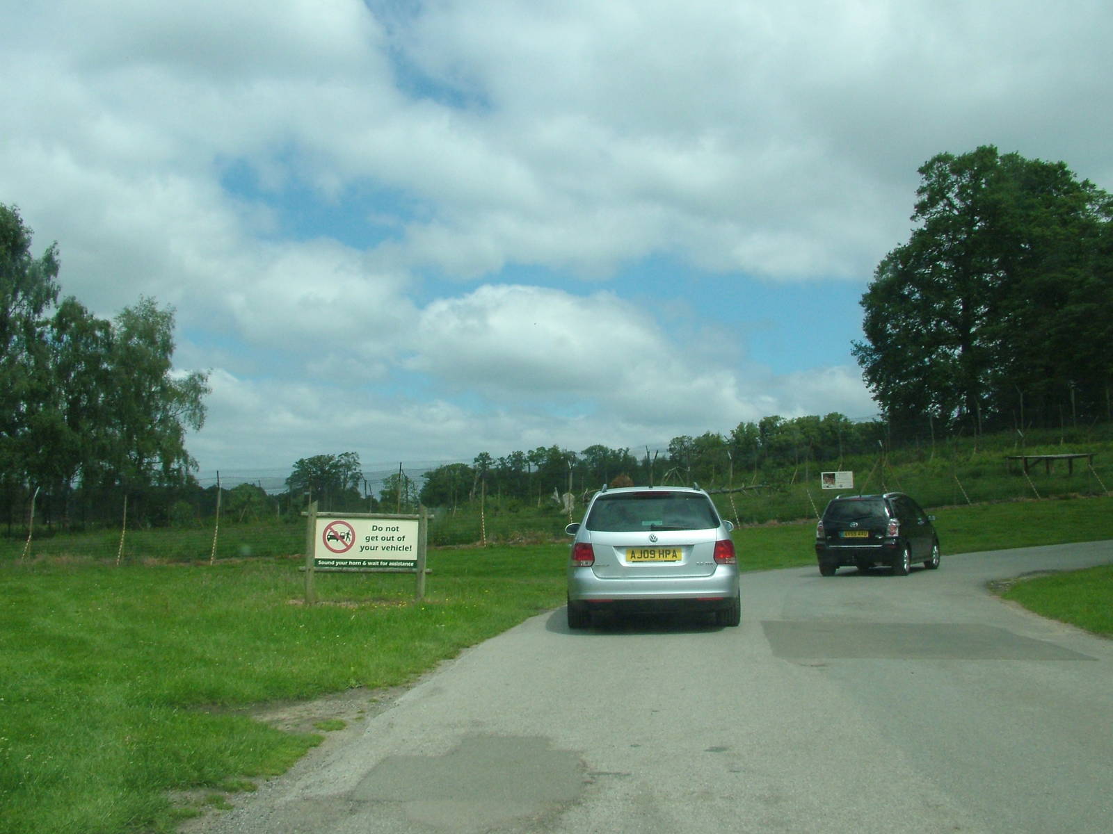 Iberian Wolf viewing at Woburn, 20/06/10