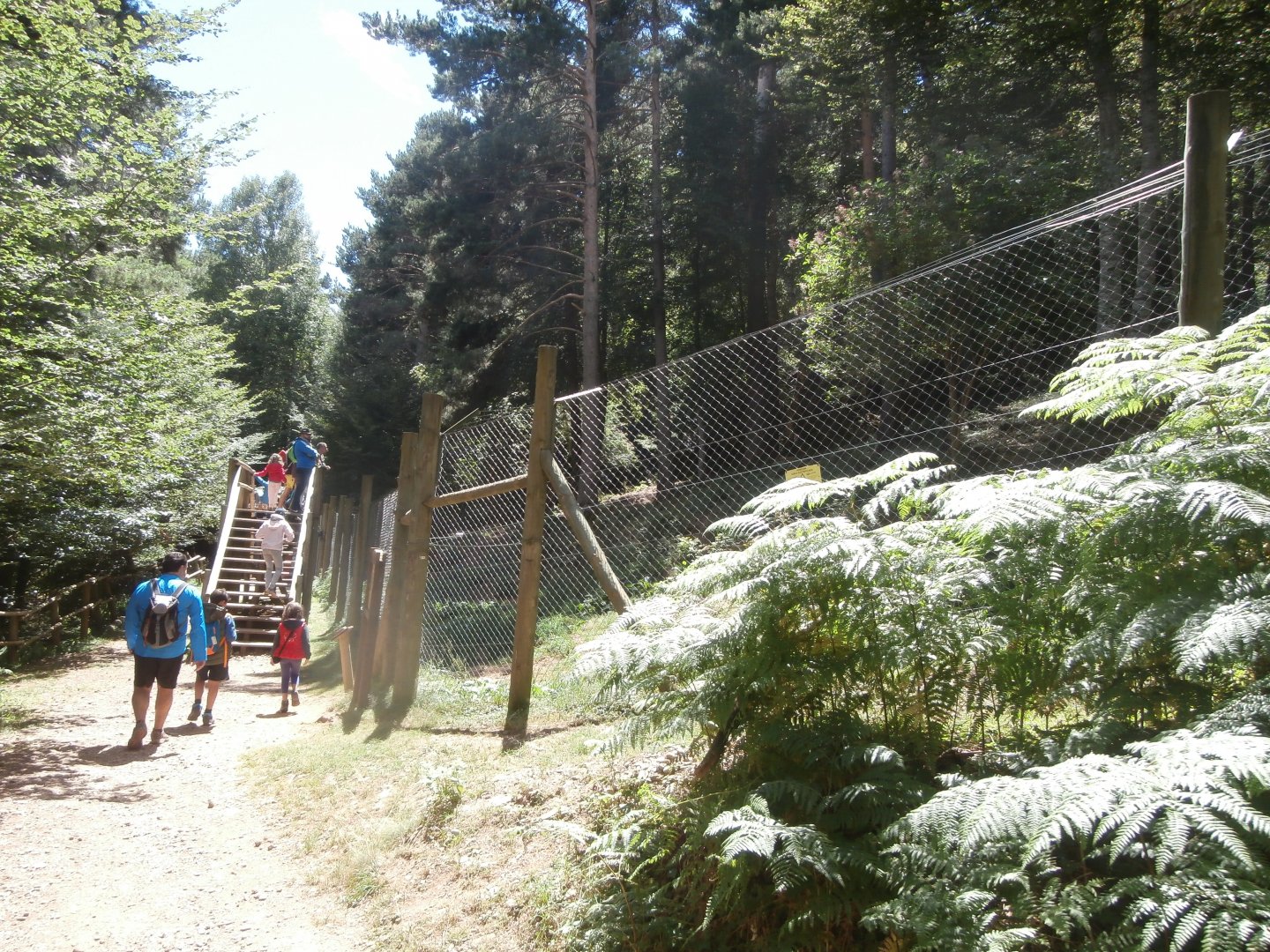 Iberian wolf viewing point- Lacuniacha
